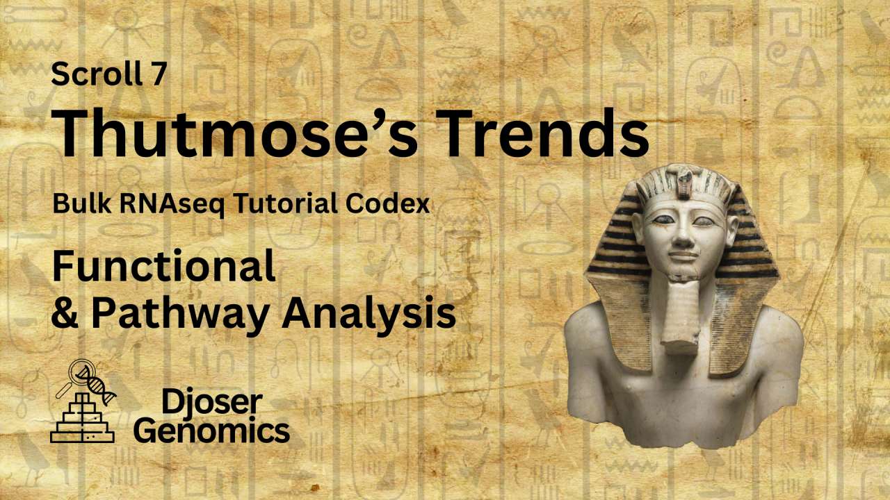 Scroll 7: Thutmose's Trends